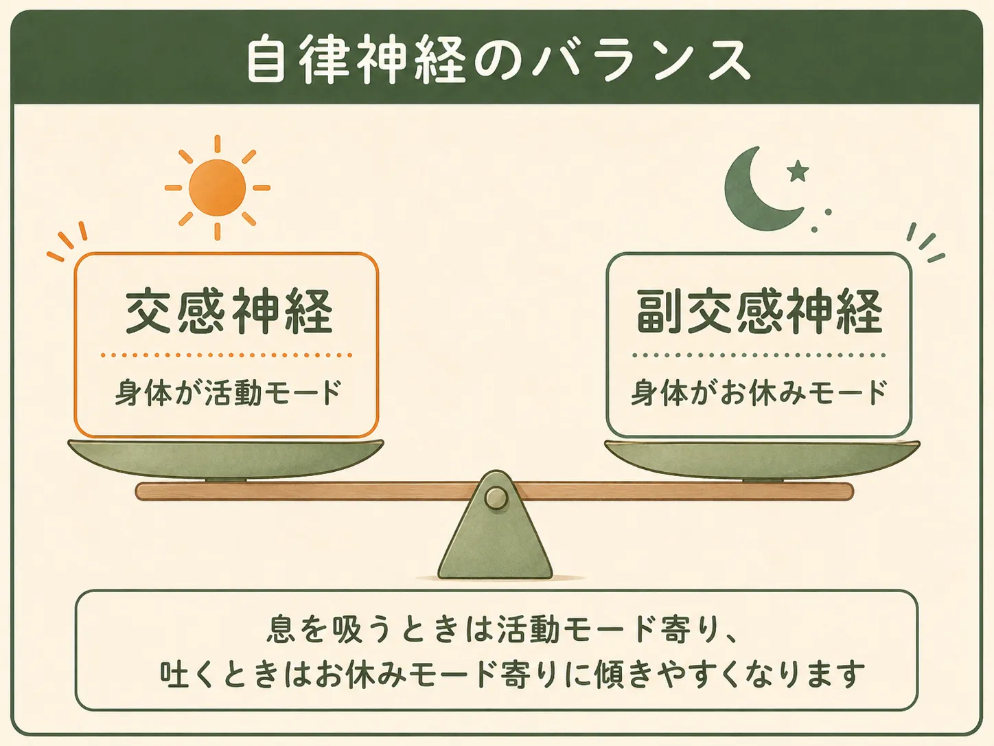 交感神経と副交感神経のバランスを示す図解