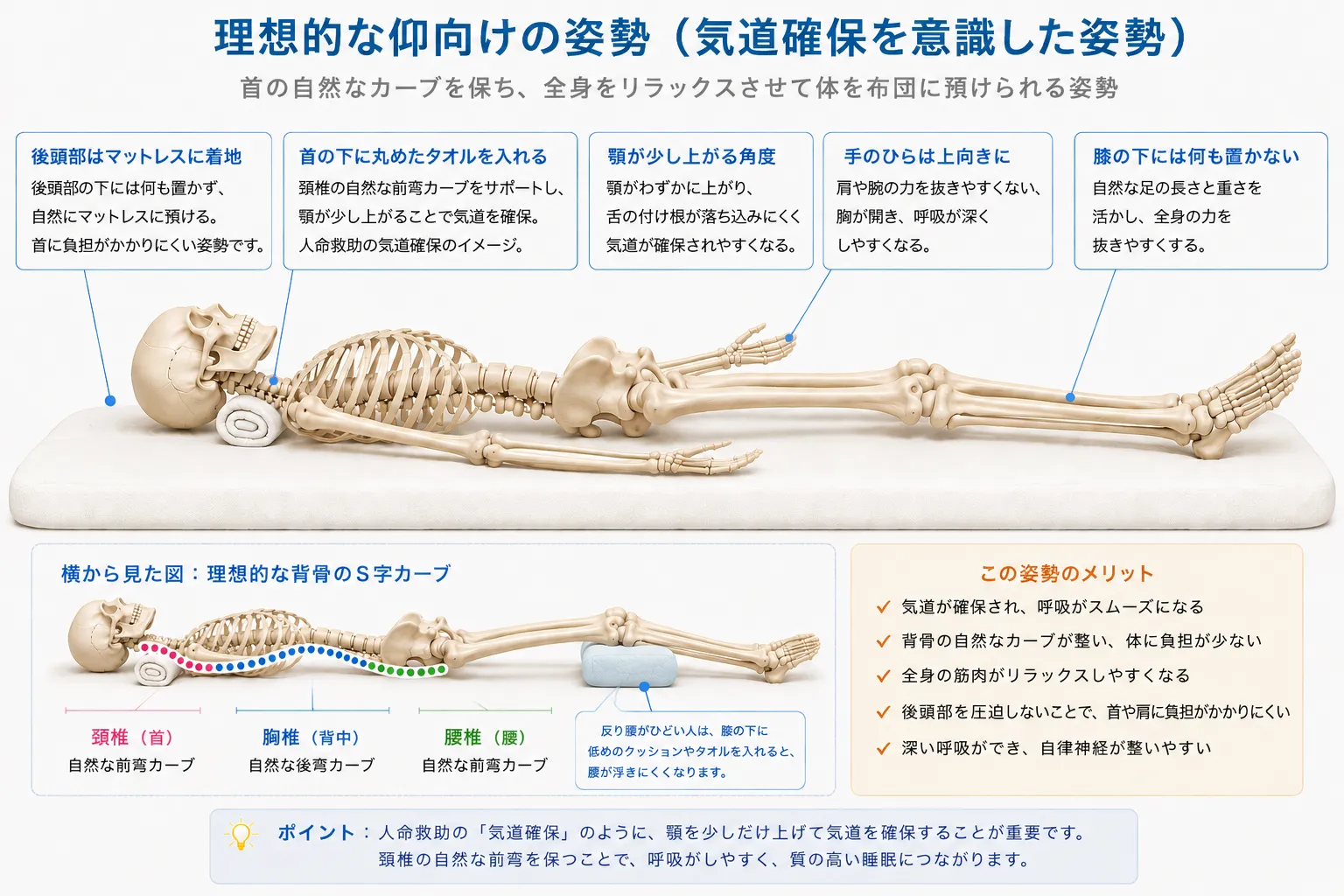 仰向けで眠る時の理想的な姿勢の図解。首の下に丸めたタオルを入れ、後頭部をマットレスに預け、顎が少し上がる角度で気道を確保する